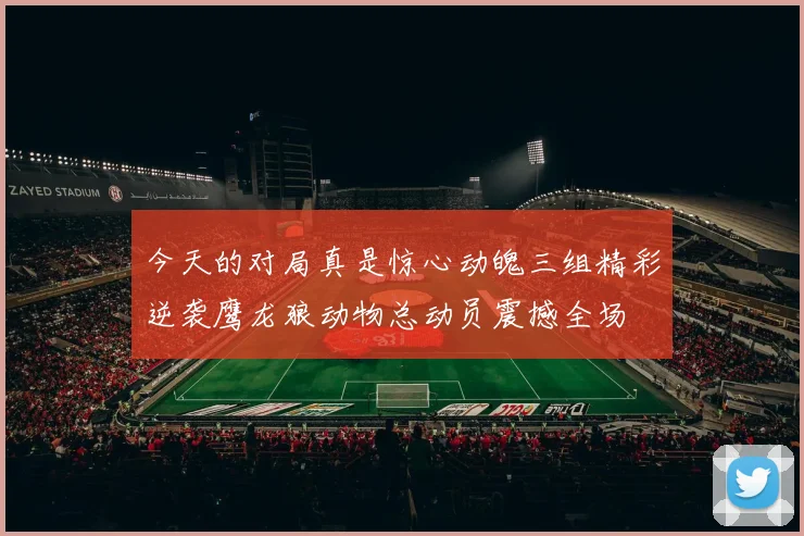 今天的对局真是惊心动魄三组精彩逆袭鹰龙狼动物总动员震撼全场