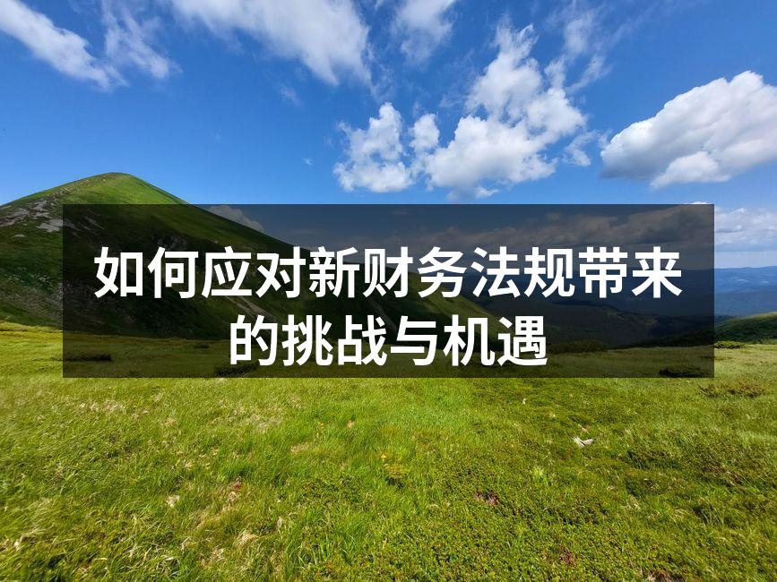 如何应对新财务法规带来的挑战与机遇