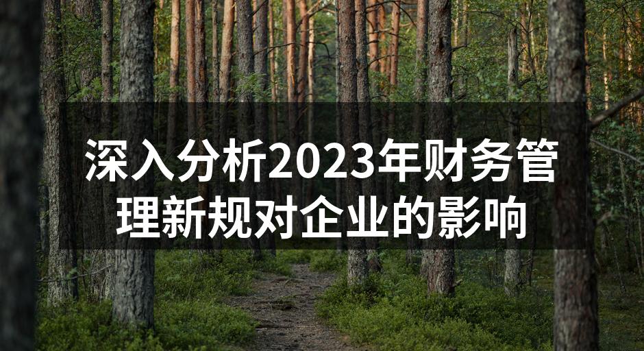深入分析2023年财务管理新规对企业的影