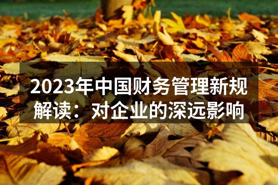 2023年中国财务管理新规解读：对企业的