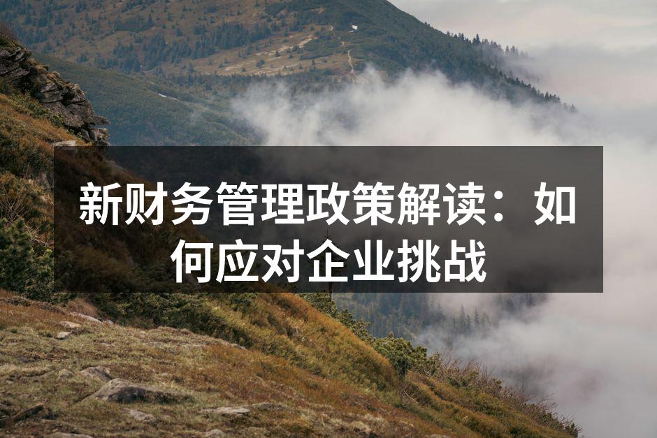 新财务管理政策解读：如何应对企业挑战