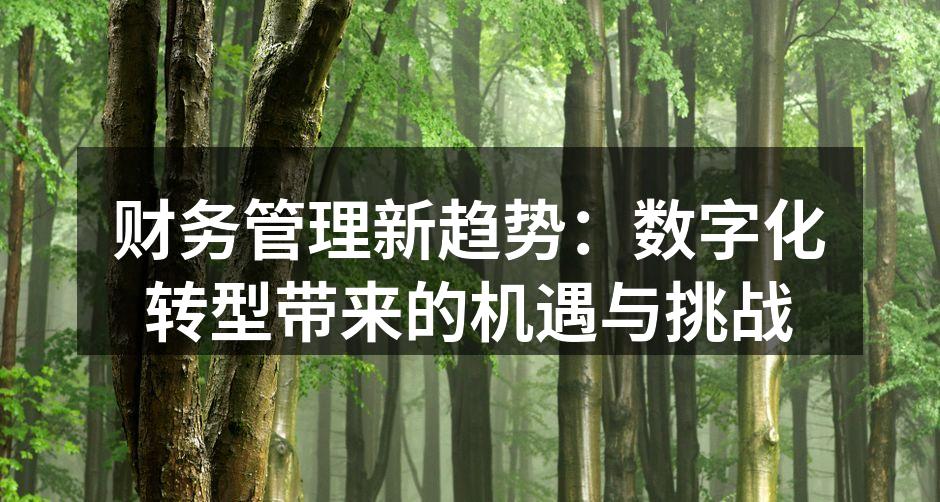 财务管理新趋势：数字化转型带来的机遇与挑