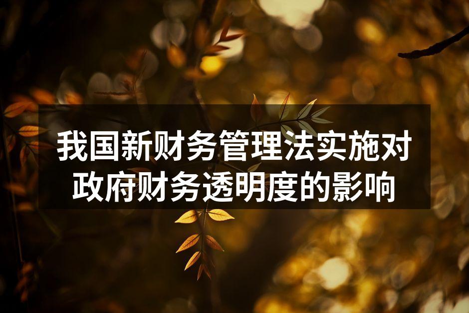 我国新财务管理法实施对政府财务透明度的影